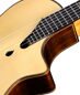 Электроакустическая гитара Famosa FC35SUE