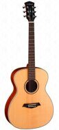 Акустическая гитара, с чехлом, Parkwood S22-GT Solid